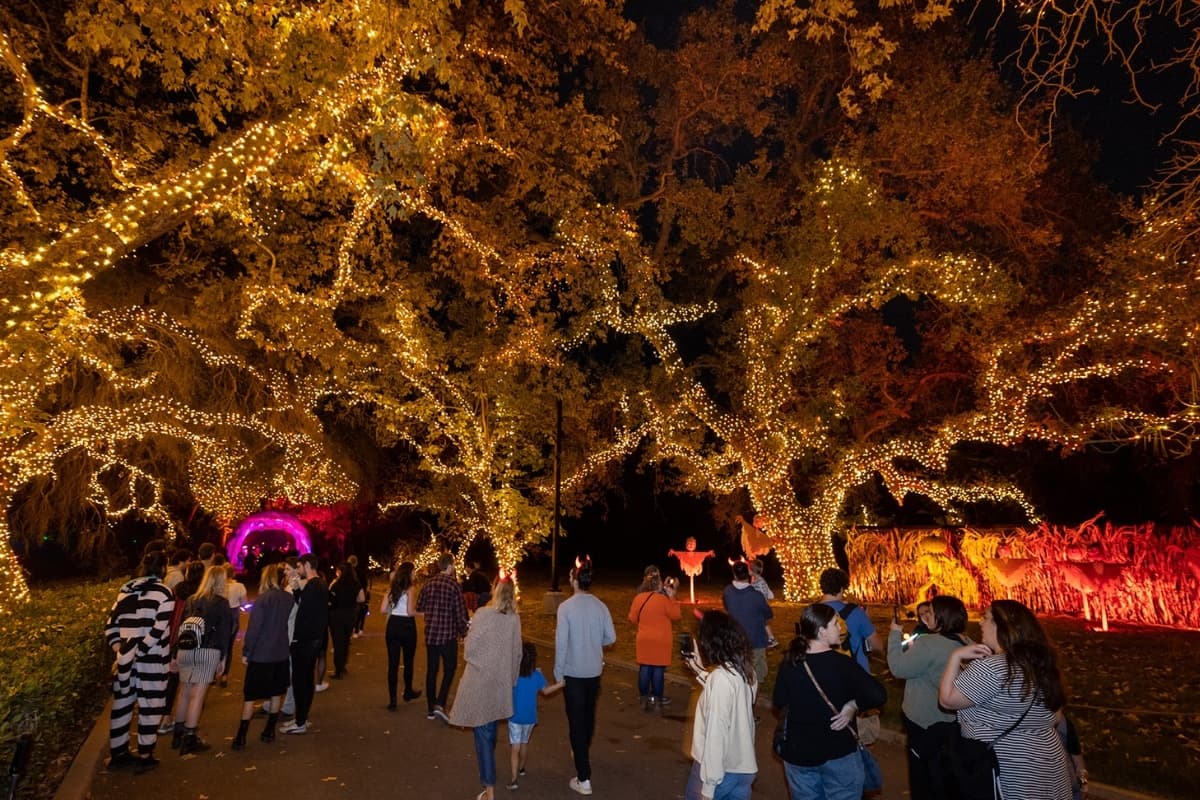 Nights of the Jack 2026