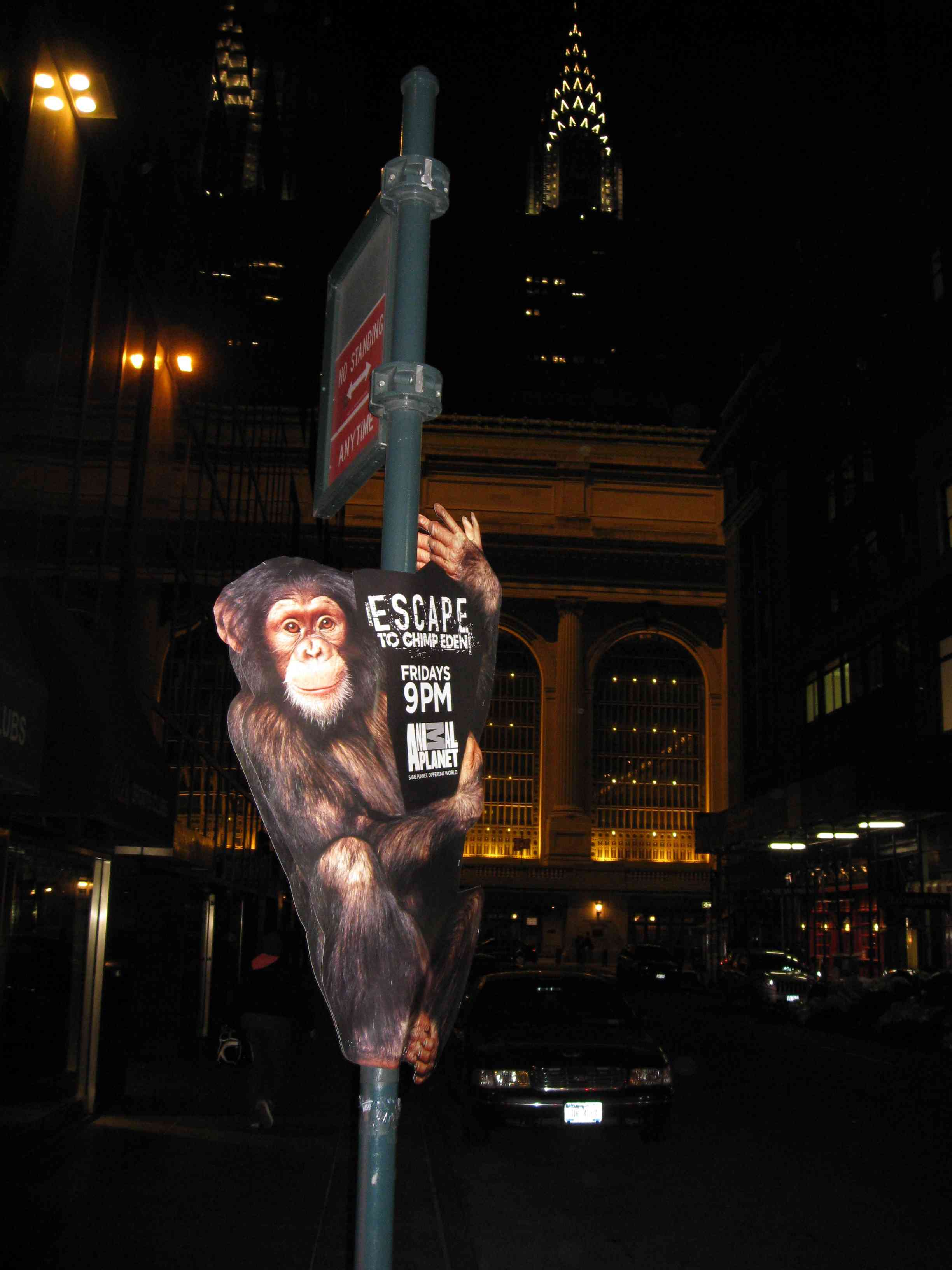 Snipe Advertising Across the Nation