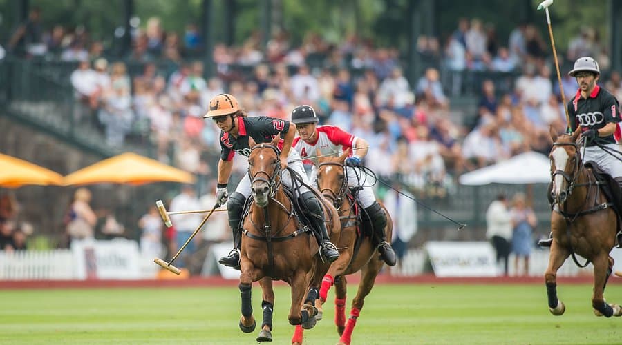 Greenwich Polo Club 2026