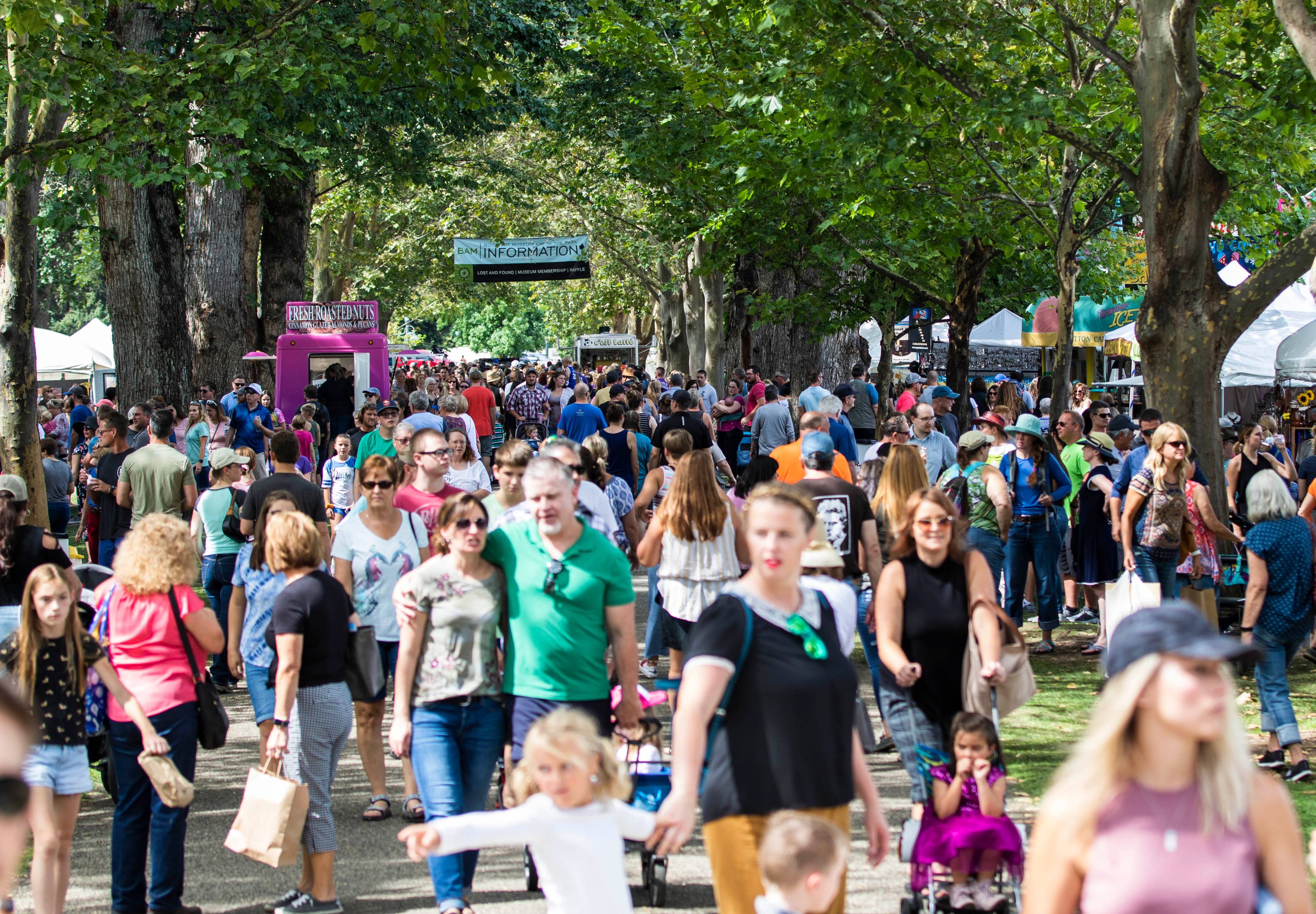 Boise Art Museum: Art in the Park 2026