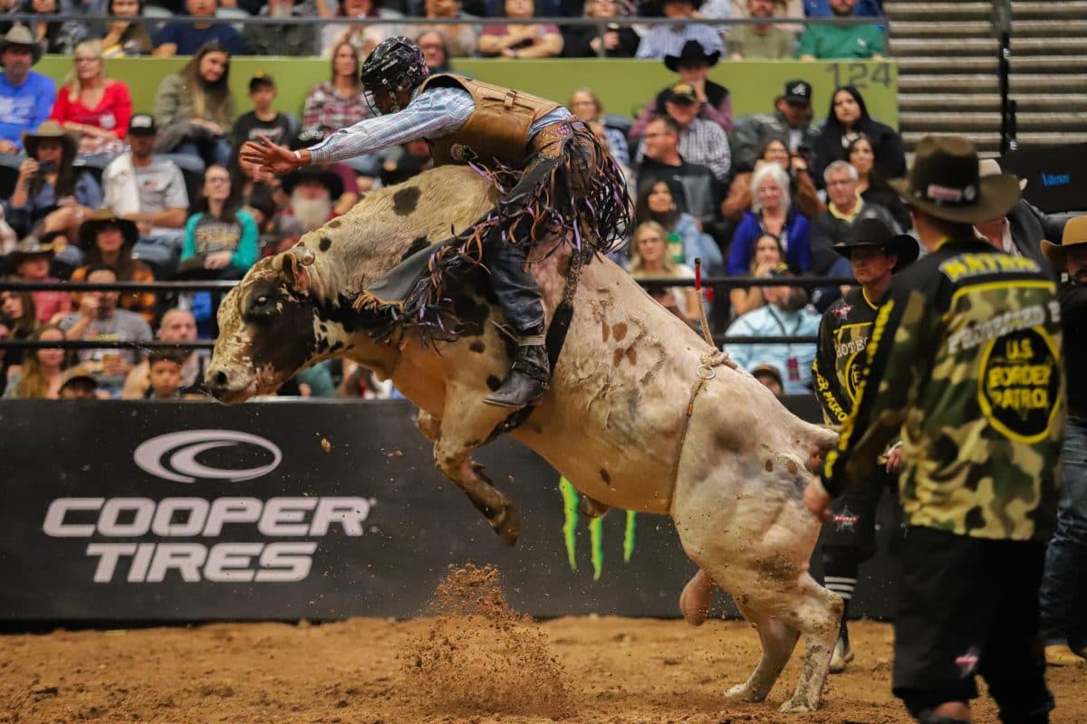 Professional Bull Riders (PBR)