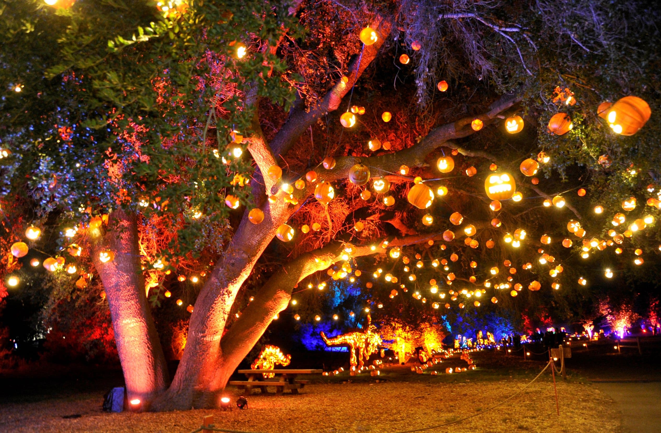 Nights of the Jack 2026