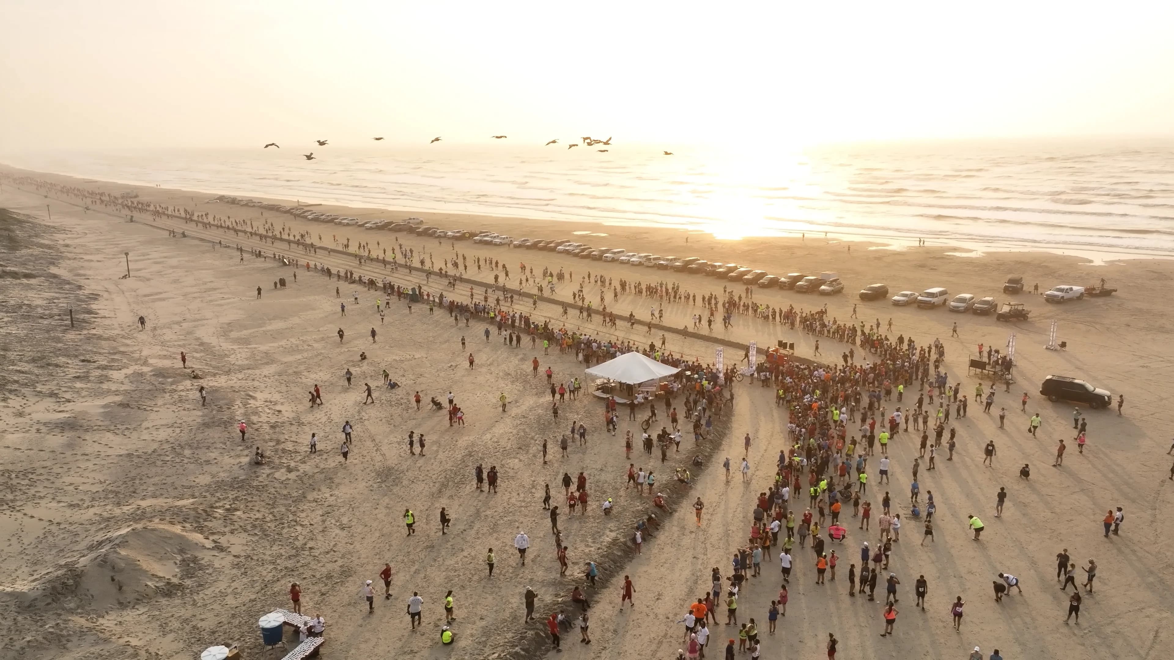 Beach to Bay Relay Marathon 2026