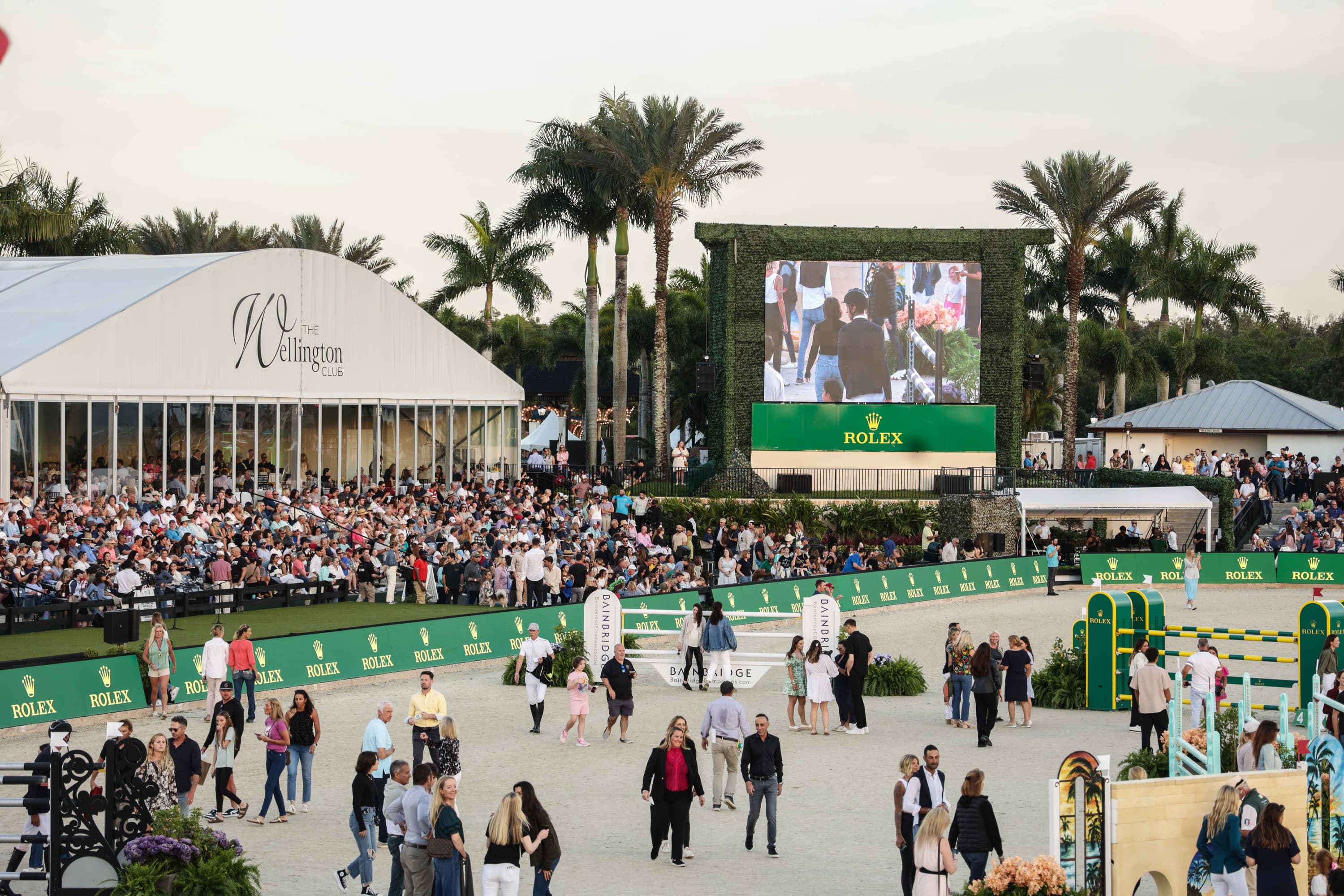 Wellington International Annual Series 2026